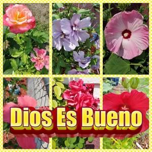 Meet your Posher, Frances